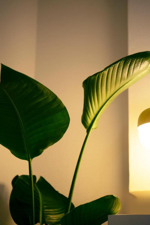 #9 3Mins To Station 1Stop To Shinjuku Stylish Apartment With Plenty Of Sunlight 東京都 エクステリア 写真