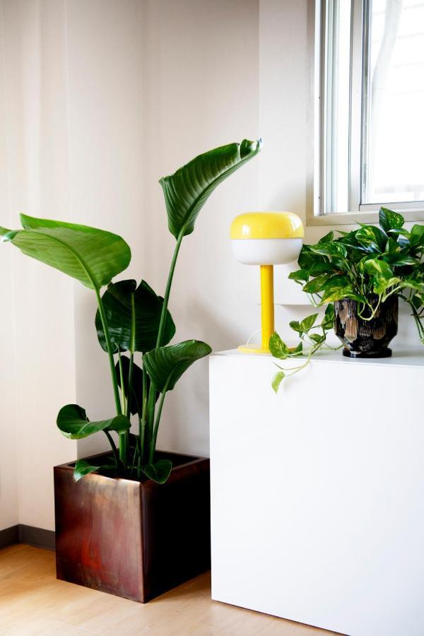 #9 3Mins To Station 1Stop To Shinjuku Stylish Apartment With Plenty Of Sunlight 東京都 エクステリア 写真